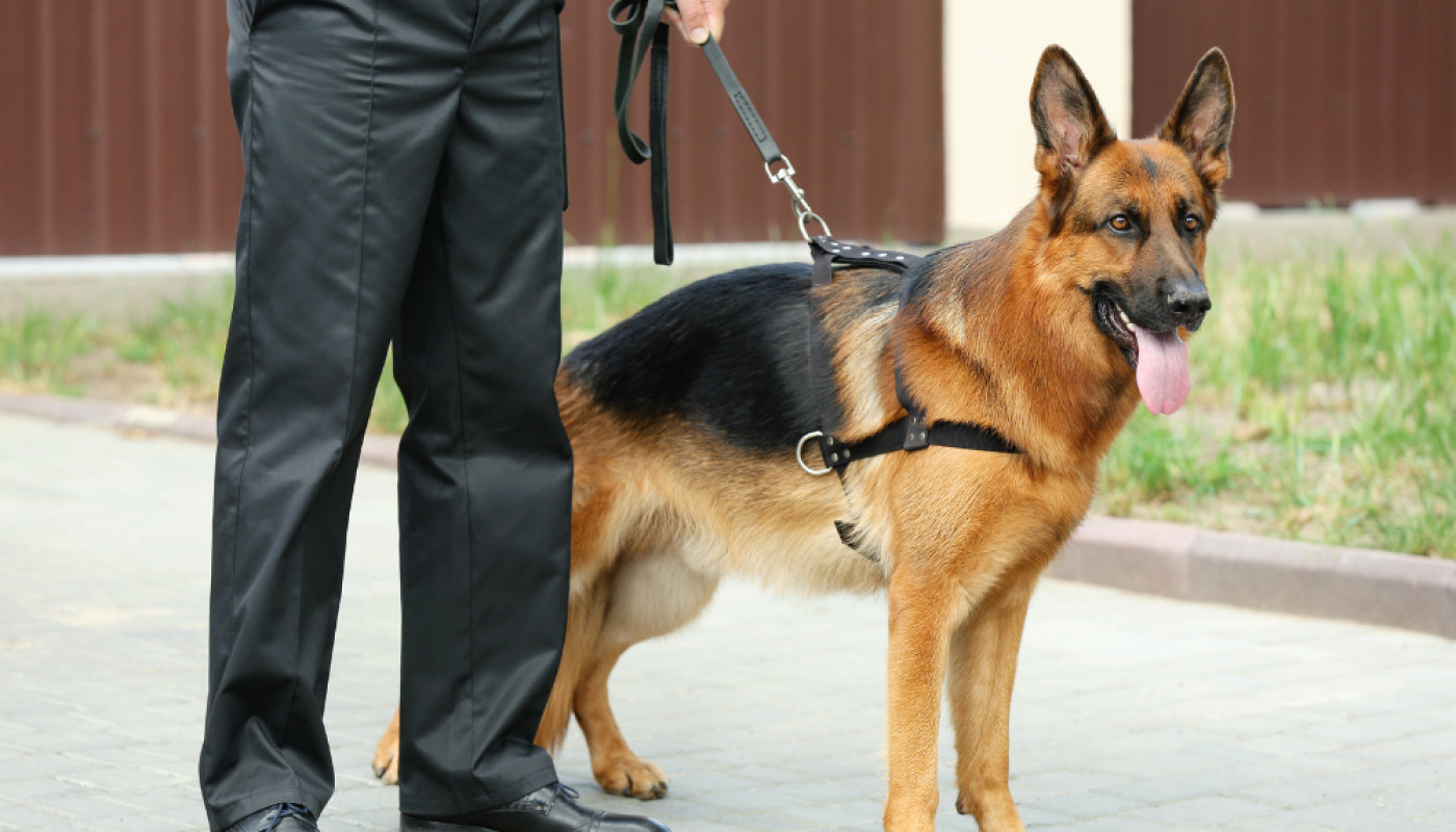 Ange Security, pour des services de sécurité sur-mesure en Île-de-France